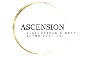 Ascension Tour Guides