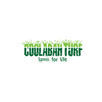 Coolabah Turf Coolabah Turf