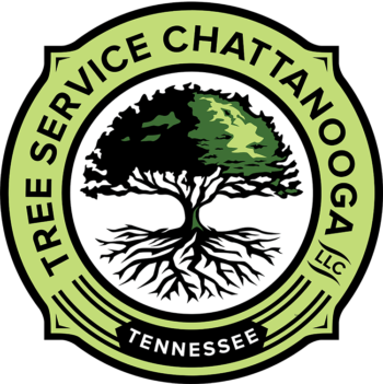 Chattanooga Tree Service, LLC