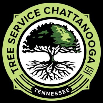 Common Ground Tree Service