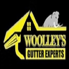 Woolley’s Gutter Experts San Diego