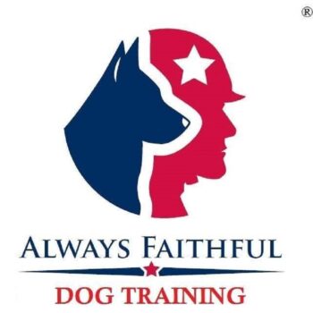 Always Faithful Dog & Puppy Training Ann Arbor MI Always Faithful Dog & Puppy Training Ann Arbor MI