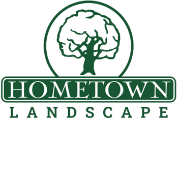 Hometown Landscape