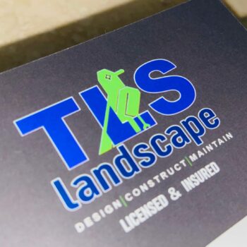 Tls Landscape
