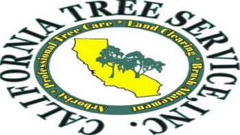 Tree Removal in CA